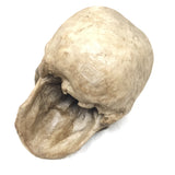 Theater Style Skull