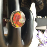 Ammolite Ring, size 6