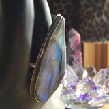 Labradorite Talon Ring, size 9