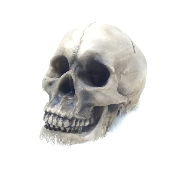 Theater Style Skull