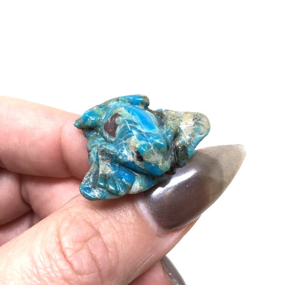 Carved Turquoise Frog