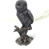 Owl on a Branch