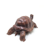 Wood Carved Lifesized Turtle