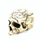 Crainography Skull